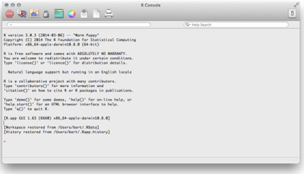 Default Startup Window for R