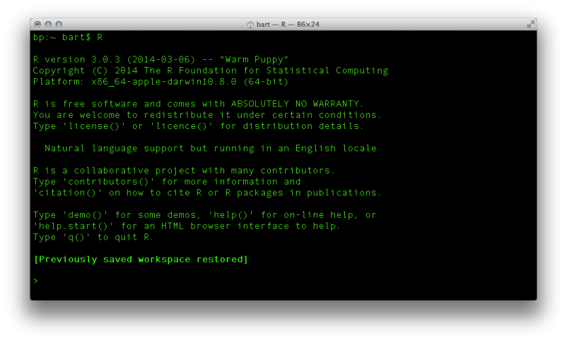 Calling R from Command-line