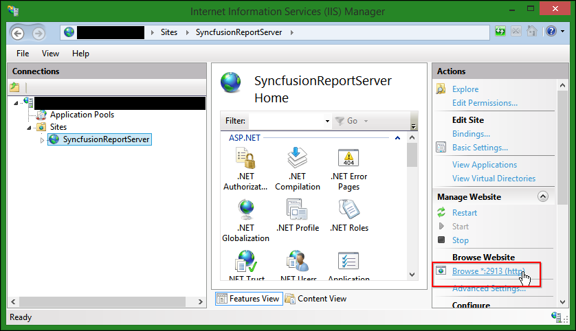 Host Report Server in IIS